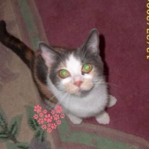 Meet your Posher, Samantha